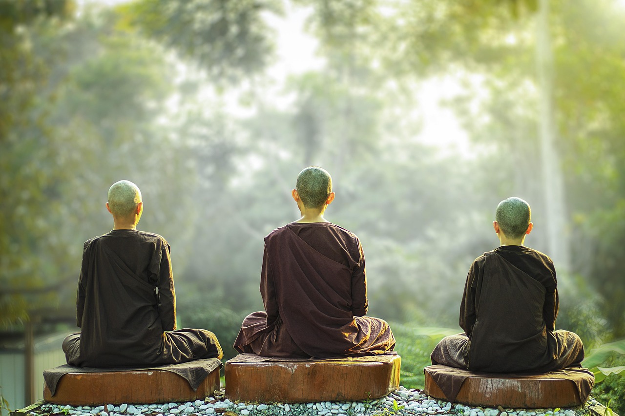 theravada buddhism, nuns, meditation, monastic, religion, nun, sayalay, spiritual, buddhist, spirituality, peace, meditate, meditating, peaceful, green meditation, green peace, meditation, meditation, meditation, meditation, meditation, buddhist